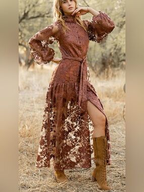 JOYFOLIE Bellana Dress in Rosette | Romantic Embroidered Mesh Maxi Dress | NWT